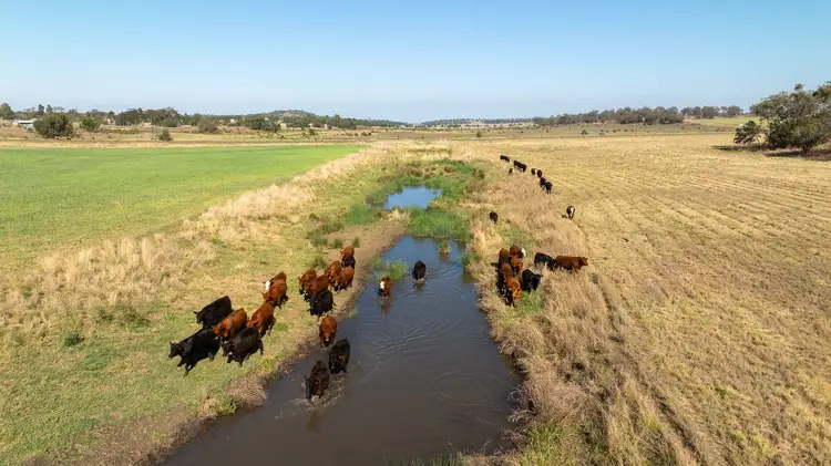 Second view of Homely rural property listing, The Butcher's Block 22 Wyangapinni Road, Stoneleigh QLD 4356