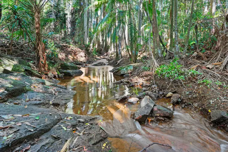 Main view of Homely land listing, 28a Geissmann Street, Tamborine Mountain QLD 4272