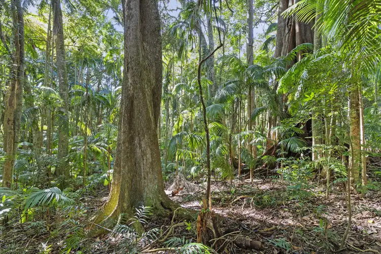 Second view of Homely land listing, 28a Geissmann Street, Tamborine Mountain QLD 4272