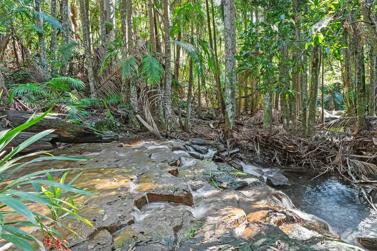 Third view of Homely land listing, 28a Geissmann Street, Tamborine Mountain QLD 4272