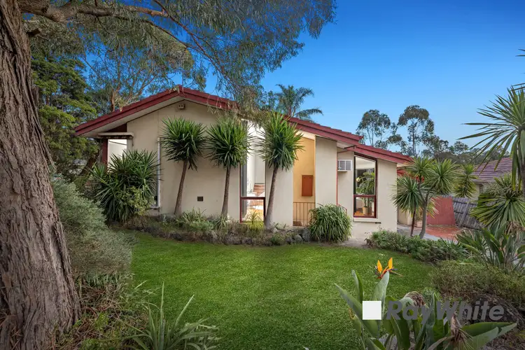 5 Wolf Court, Endeavour Hills VIC 3802