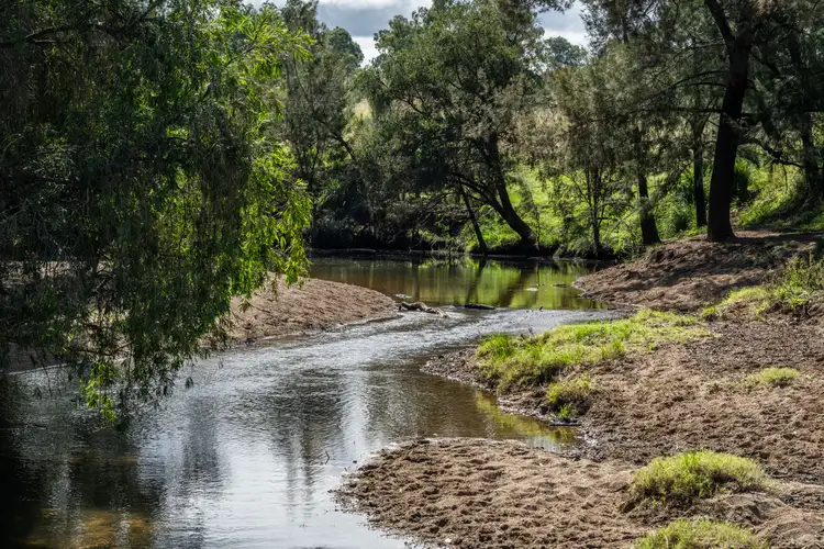 Fourth view of Homely rural property listing, 78 Pei Road, Manumbar QLD 4601