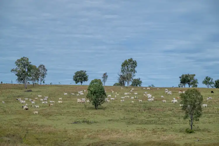 Fifth view of Homely rural property listing, 78 Pei Road, Manumbar QLD 4601