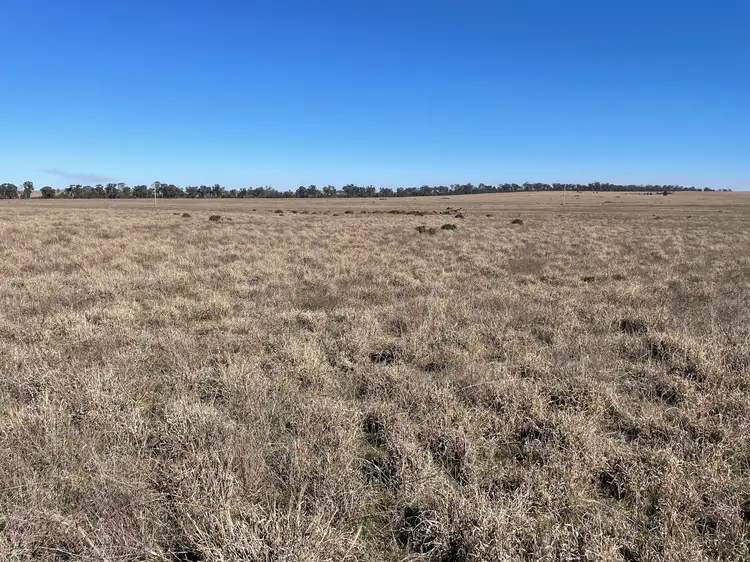 1826 Tallimba Road, West Wyalong NSW 2671