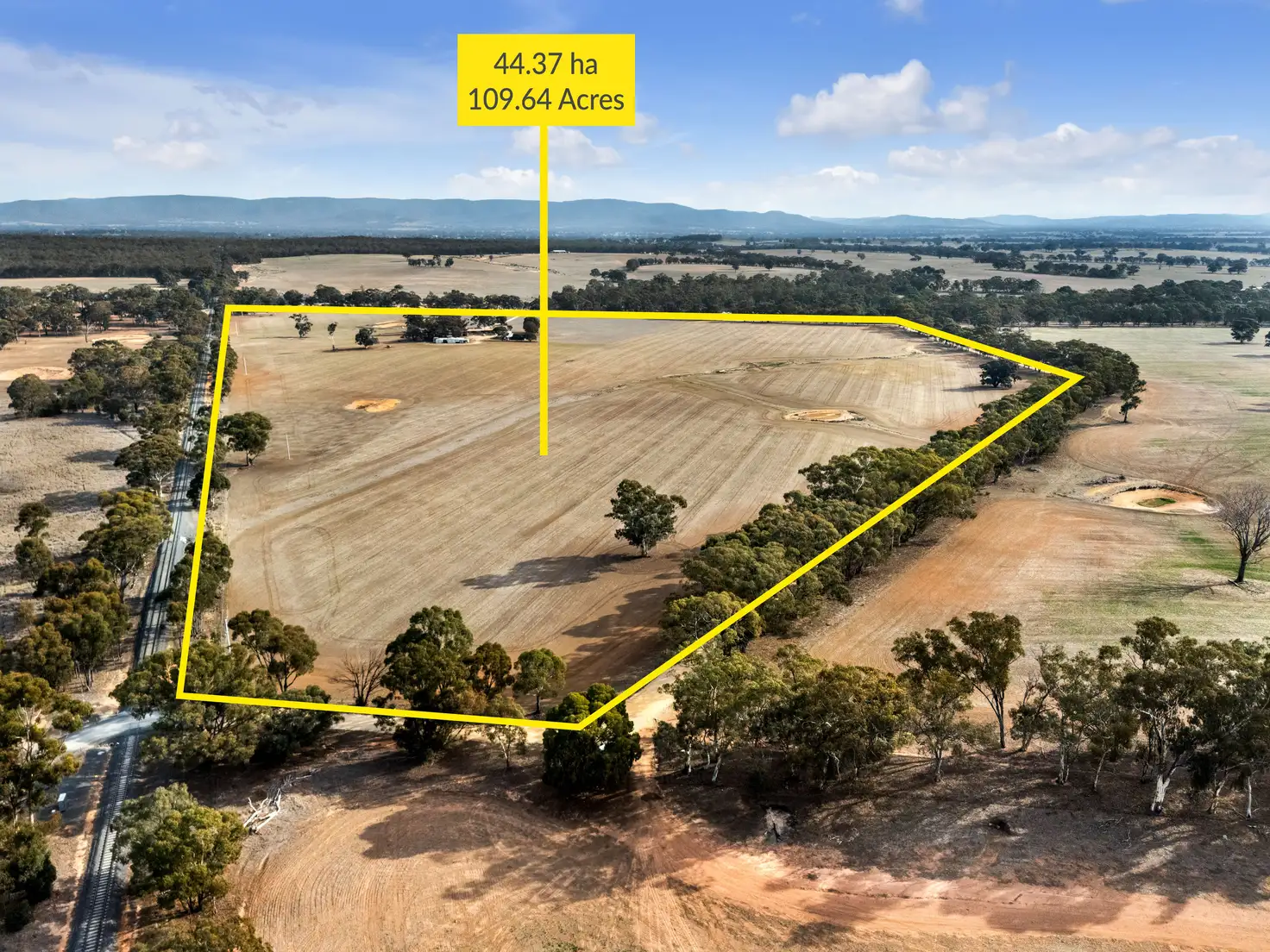 Main view of Homely rural property listing, 462 Sims Lane, Homebush VIC 3465