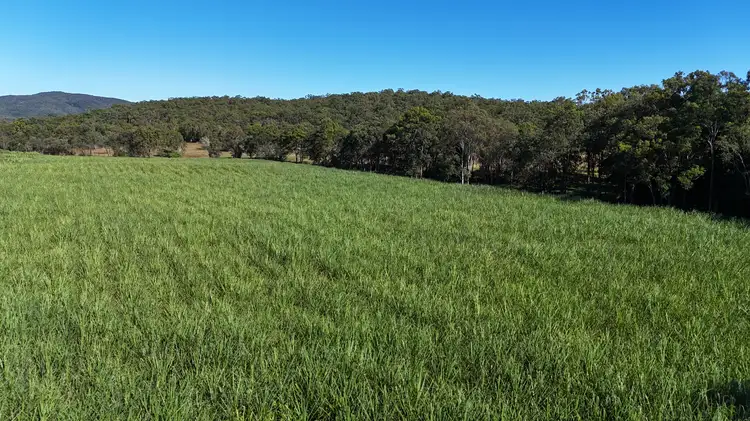 Second view of Homely rural property listing, 198 Campbells Crebers Road, Carmila QLD 4739