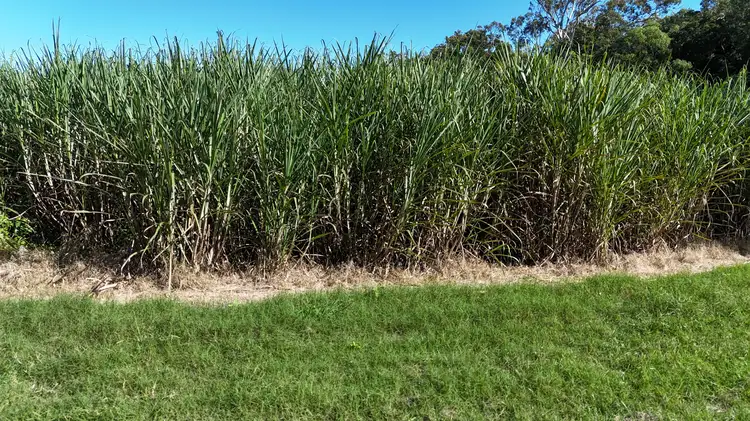 Third view of Homely rural property listing, 198 Campbells Crebers Road, Carmila QLD 4739