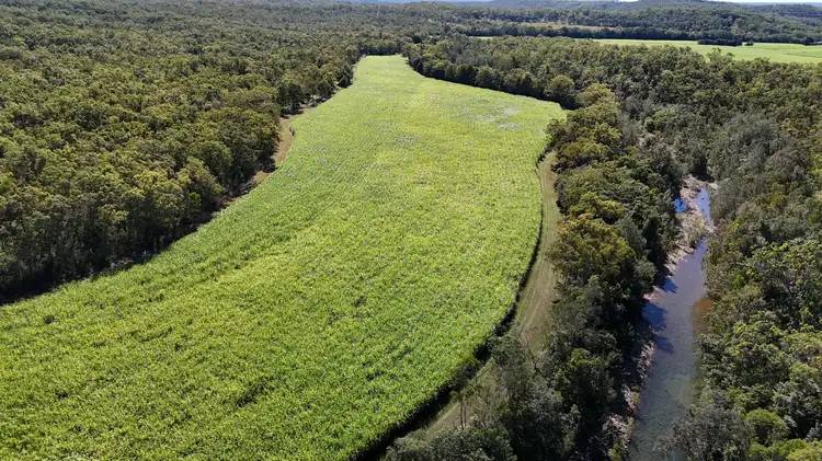 Fourth view of Homely rural property listing, 198 Campbells Crebers Road, Carmila QLD 4739