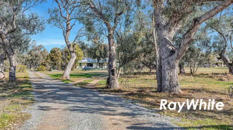 Main view of Homely rural property listing, 3201 Murray Valley Highway, Patho VIC 3564
