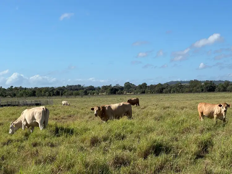 Third view of Homely rural property listing, "KOOLIBAH" 1294 Prospect Creek -Goovigen Road, Orange Creek QLD 4715