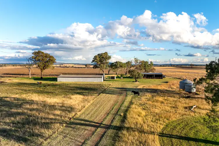 534 Wyreema Athol Road, Wyreema QLD 4352