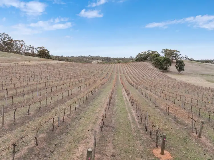Second view of Homely land listing, Lot 388 Mccord Lane, Gillentown SA 5453