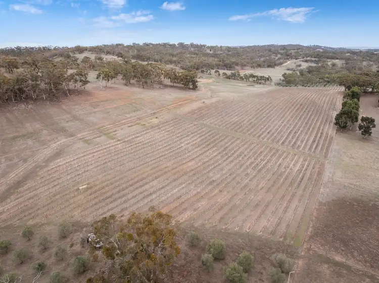 Third view of Homely land listing, Lot 388 Mccord Lane, Gillentown SA 5453