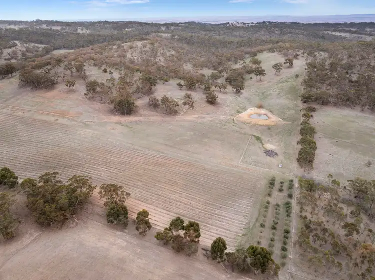 Seventh view of Homely land listing, Lot 388 Mccord Lane, Gillentown SA 5453