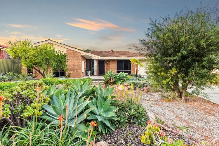 Third view of Homely house listing, 19 Pacific Way, Beldon WA 6027