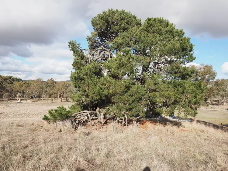 Seventh view of Homely land listing, Lot 2 Green Street, Elmhurst VIC 3469