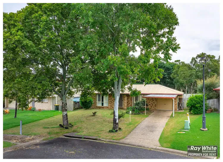 12 Brigalow Avenue, Norman Gardens QLD 4701