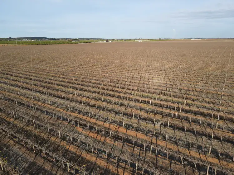 Fifth view of Homely rural property listing, 1802 Old Well Road, Tharbogang NSW 2680