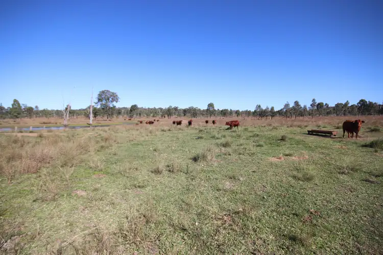 Seventh view of Homely rural property listing, 8 Screening Plant Road, Cynthia, Eidsvold QLD 4627
