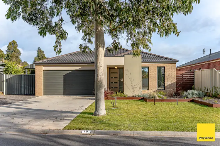 Third view of Homely house listing, 19 Elandra Drive, Ascot VIC 3551