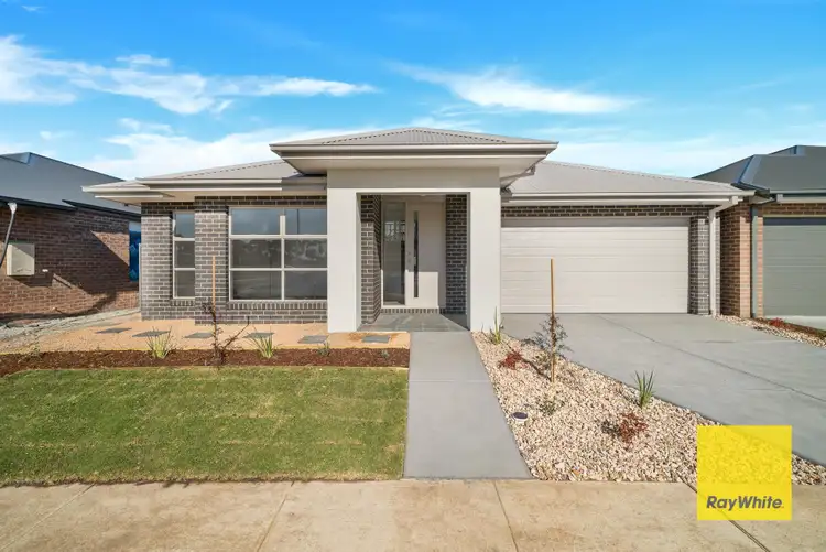 43 Zippy Circuit, Tarneit VIC 3029