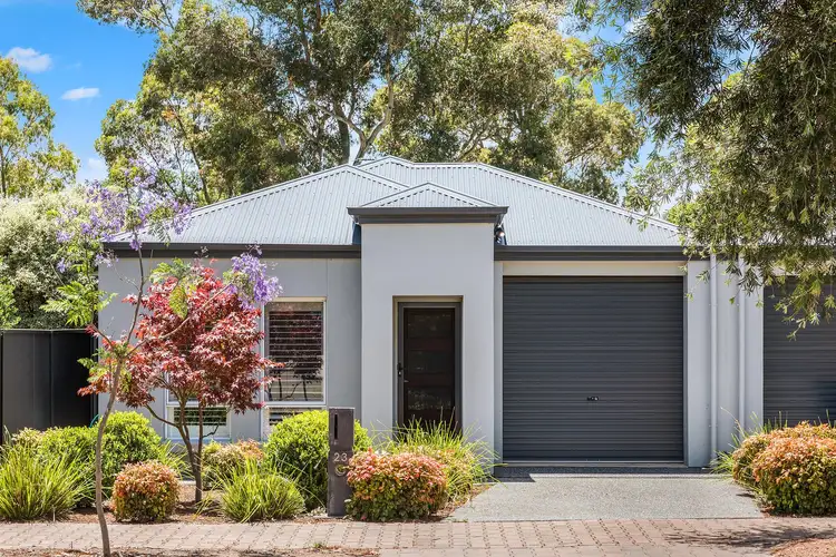 23 Auricchio Avenue, St Marys SA 5042