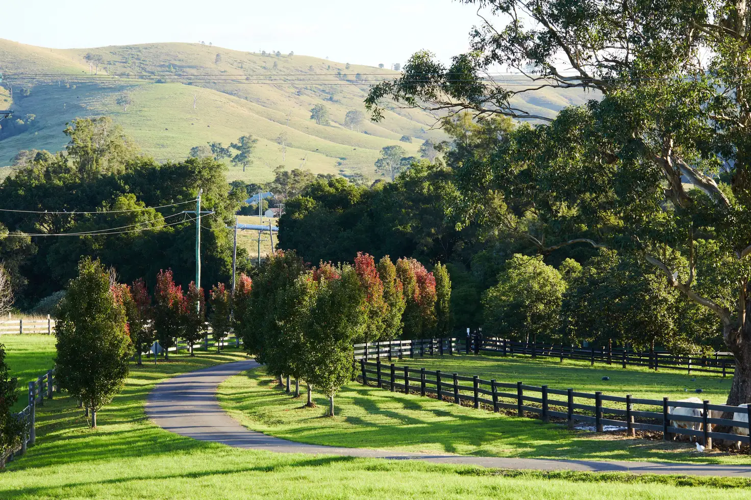 Main view of Homely rural property listing, 564 Chichester Dam Road, Bendolba Via, Dungog NSW 2420