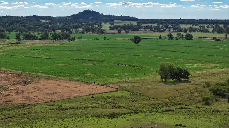 Fifth view of Homely rural property listing, 1428 Guinema Road, Bugaldie NSW 2357