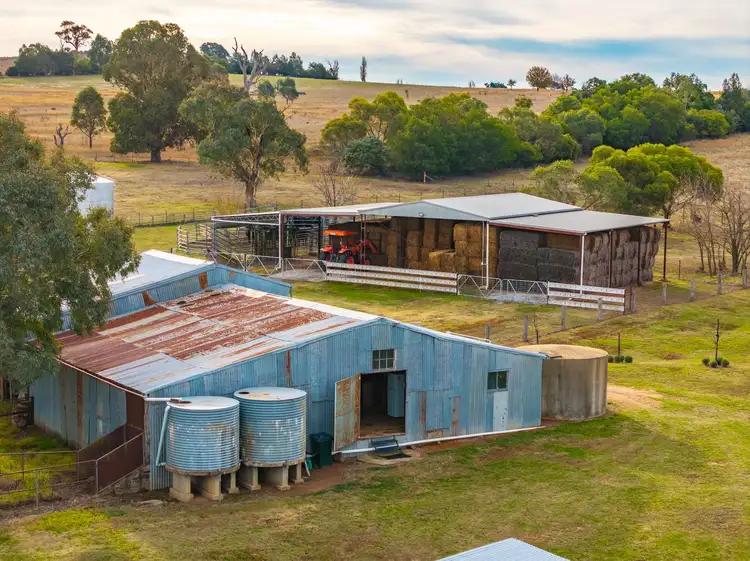 Sixth view of Homely rural property listing, "Riverview" 456 Ballyryan Road, Boorowa NSW 2586