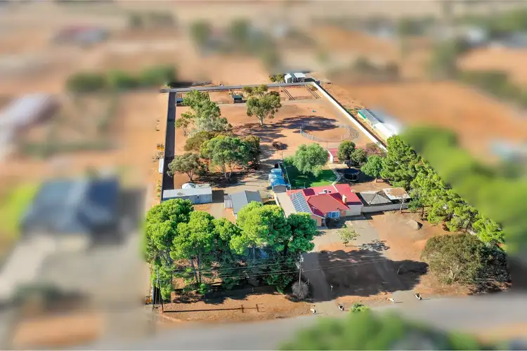 Second view of Homely house listing, 39 Clarence Road, Kudla SA 5115