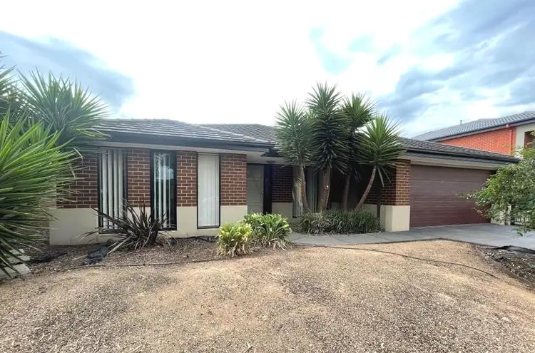 16 Mockingbird Street