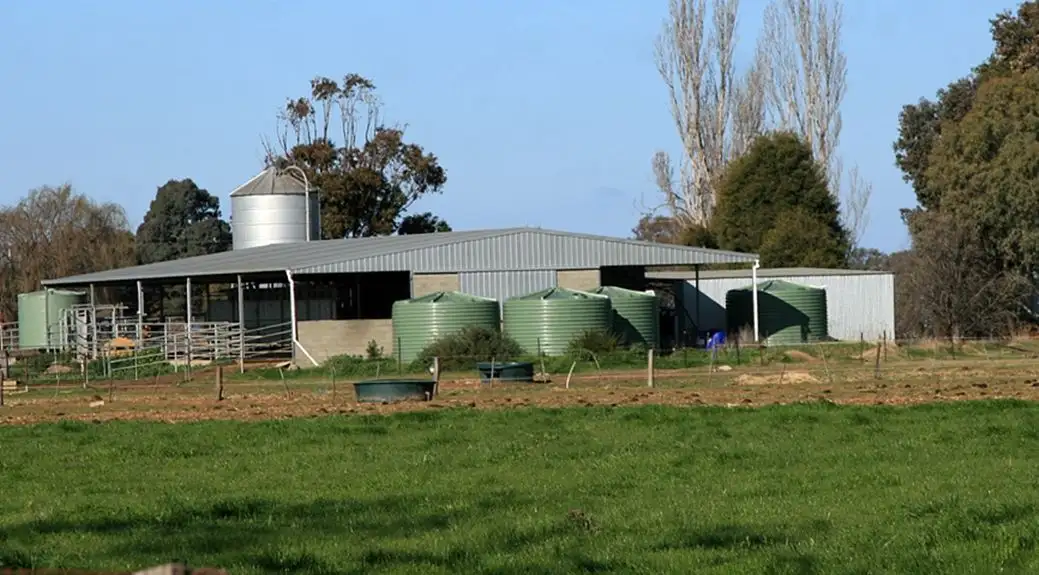 Main view of Homely rural property listing, 1786 Echuca - Mitiamo Road, Kotta VIC 3565