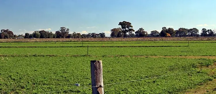 Second view of Homely rural property listing, 1786 Echuca - Mitiamo Road, Kotta VIC 3565