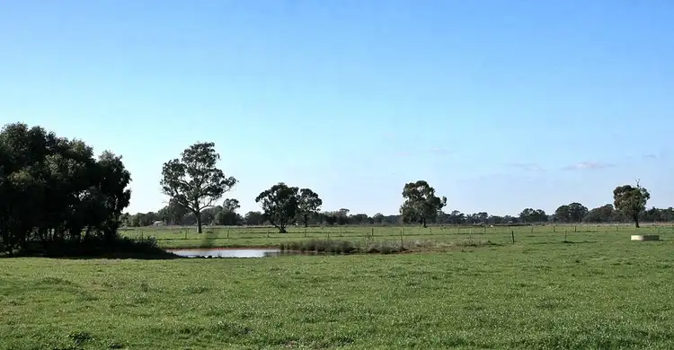 Fifth view of Homely rural property listing, 1786 Echuca - Mitiamo Road, Kotta VIC 3565