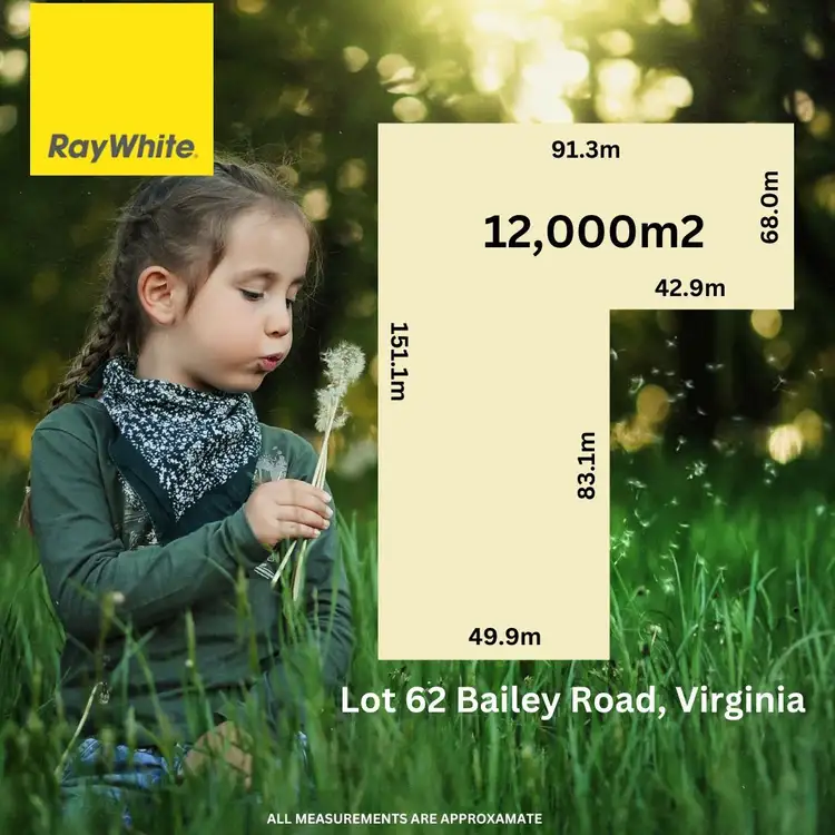 38 Bailey Road, Virginia SA 5120