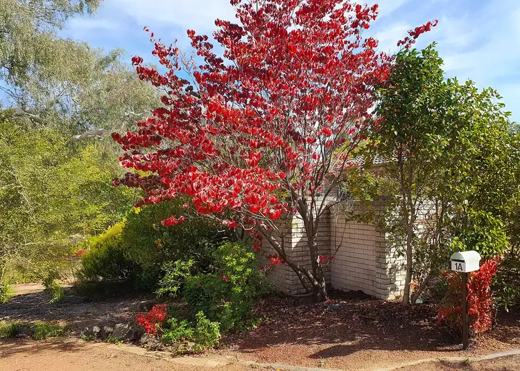 Third view of Homely house listing, 1A Woolner Circuit, Hawker ACT 2614