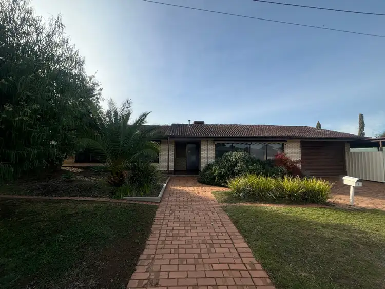 3 Bice Street, Modbury North SA 5092