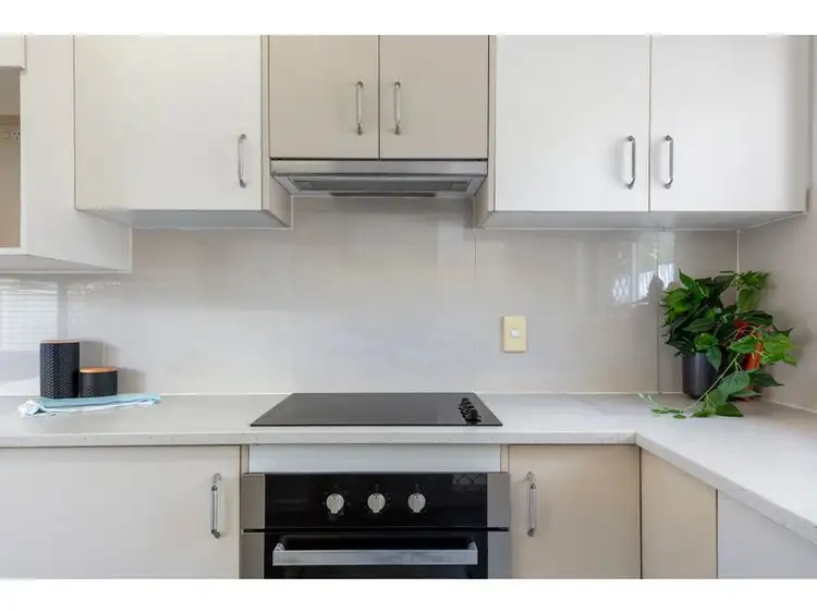 Second view of Homely unit listing, 4/1003 Gold Coast Highway, Palm Beach QLD 4221