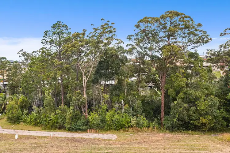 Sixth view of Homely land listing, 24 King Parrot Parade, Nambucca Heads NSW 2448