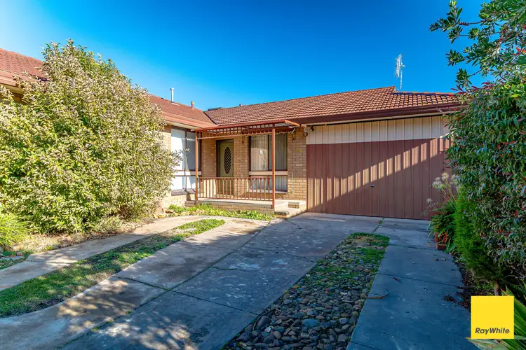 49 Short Street