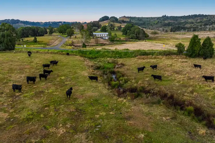Second view of Homely rural property listing, 167 Lockton Road, Numulgi NSW 2480