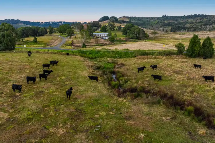 Third view of Homely rural property listing, 167 Lockton Road, Numulgi NSW 2480