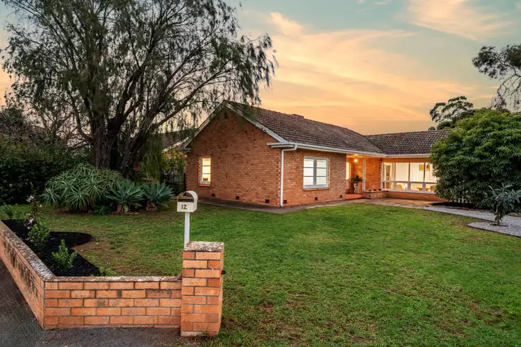 12 Lynne Court, Marion SA 5043