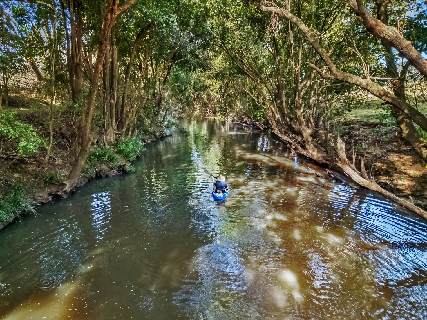 Main view of Homely house listing, 689 The Bucketts Way, Stroud Road NSW 2415