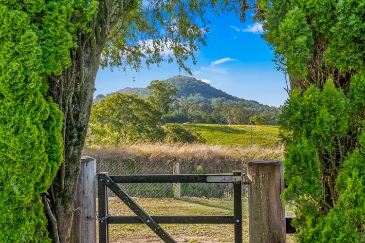 Second view of Homely house listing, 689 The Bucketts Way, Stroud Road NSW 2415