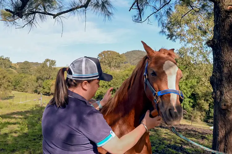 Third view of Homely house listing, 689 The Bucketts Way, Stroud Road NSW 2415