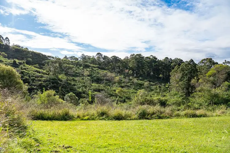 Seventh view of Homely rural property listing, 297 Grays Road, Halfway Creek NSW 2460