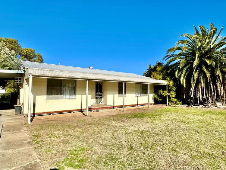 12 Buik Street, Bordertown SA 5268