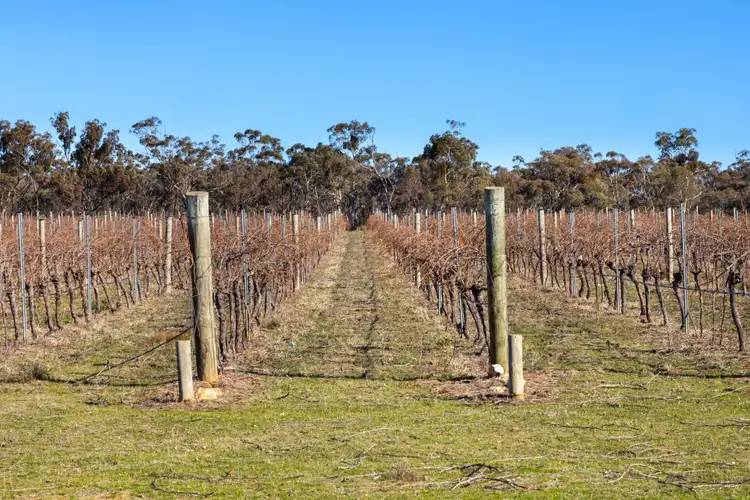 Second view of Homely land listing, CA 18, 19 & 20 Pyrenees Highway, Avoca VIC 3467
