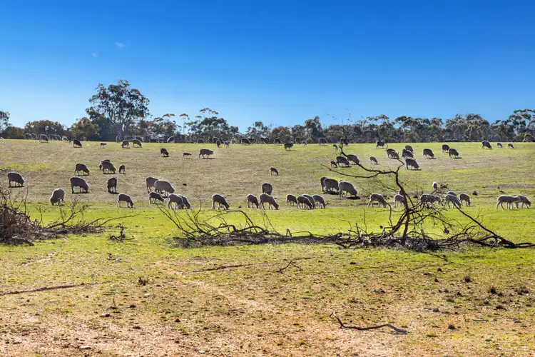 Third view of Homely land listing, CA 18, 19 & 20 Pyrenees Highway, Avoca VIC 3467
